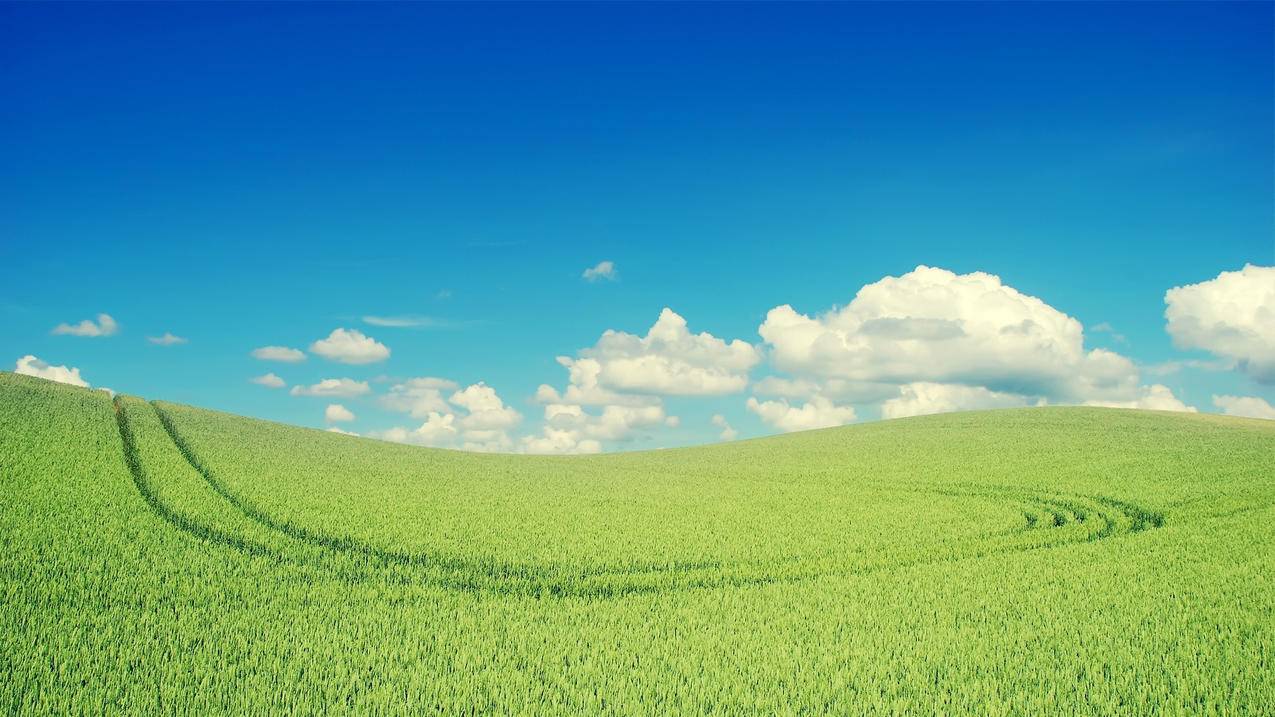 球球大作战业务下单 - 代刷快手直播网站平台