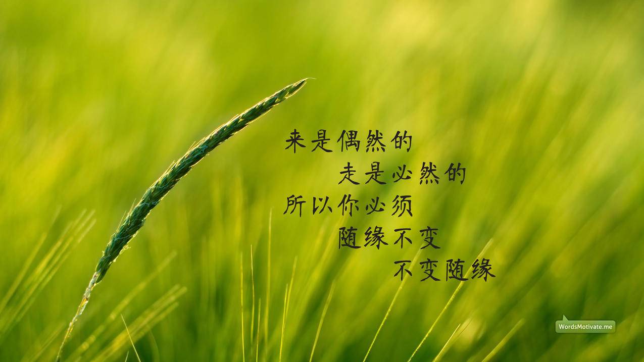 代刷快手点赞平台 - 全网代刷最低价,刷qq会员钻的网站